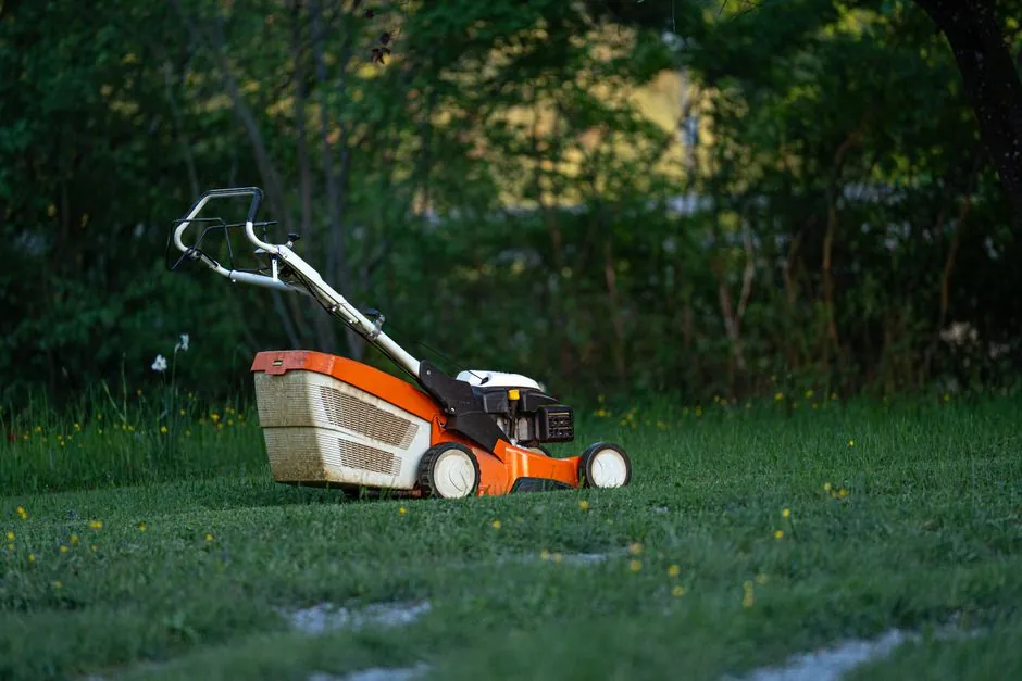 Jardin pavillonnaire entretenu